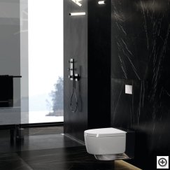 2016 Bathroom 07 D2 AquaClean Mera comfort chrome with Omega60.tif_preview.jpg